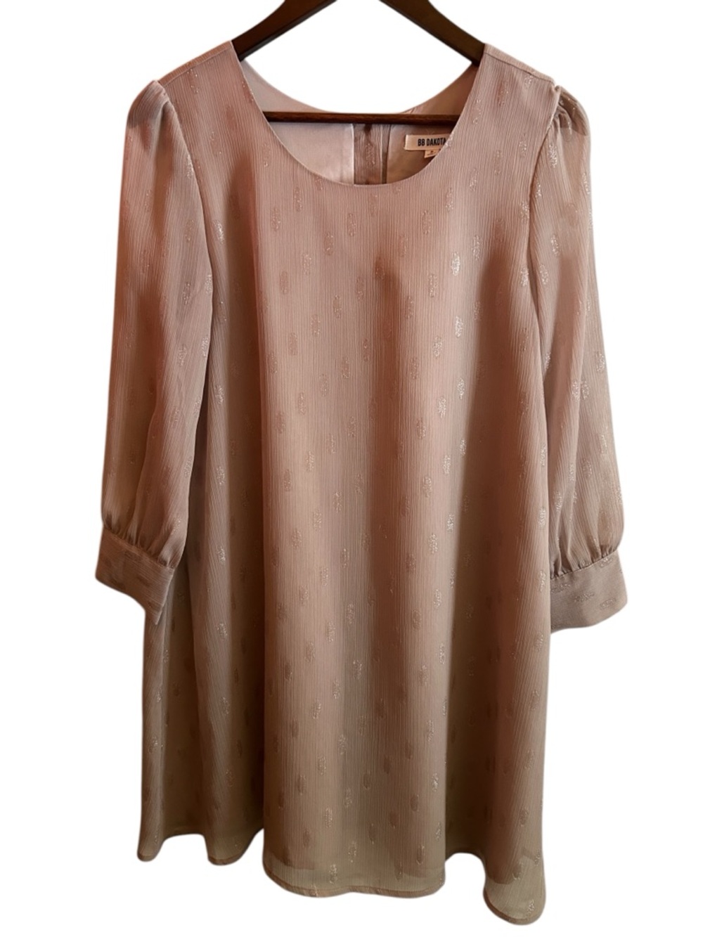 BB Dakota Dusty Blush Long-Sleeve Shift Dress